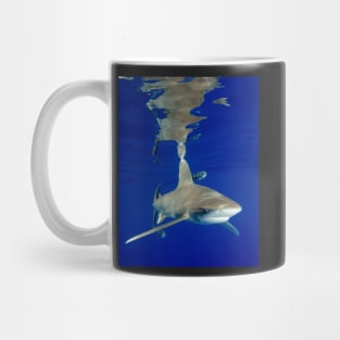 Oceanic White Tip Shark and Surface Reflections Mug